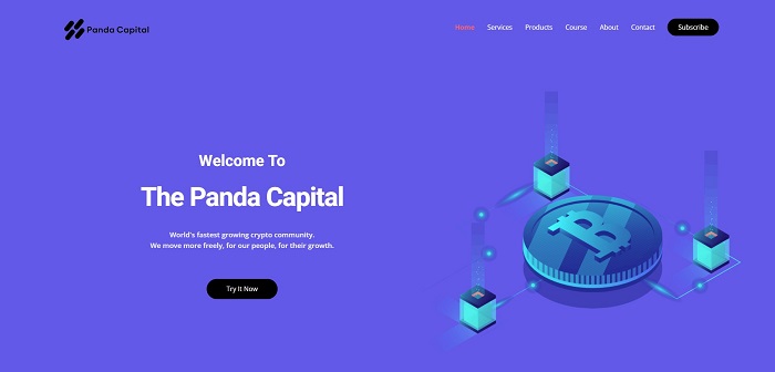 The Panda Capital Case Studie